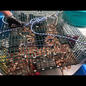 Meet your Posher, Noriaki